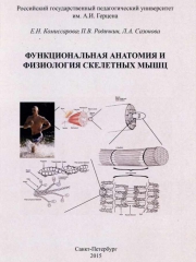 Функциональная анатомия и физиология скелетных мышц